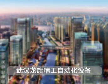 武汉龙旗智能自动化设备公司